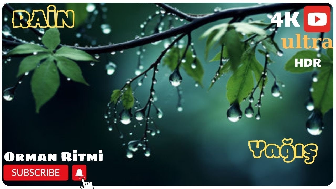 Rain is gold pouring out of God's bosom  4K HD  (Yağış- Allahın sinəsindən tökülən qızıldır)