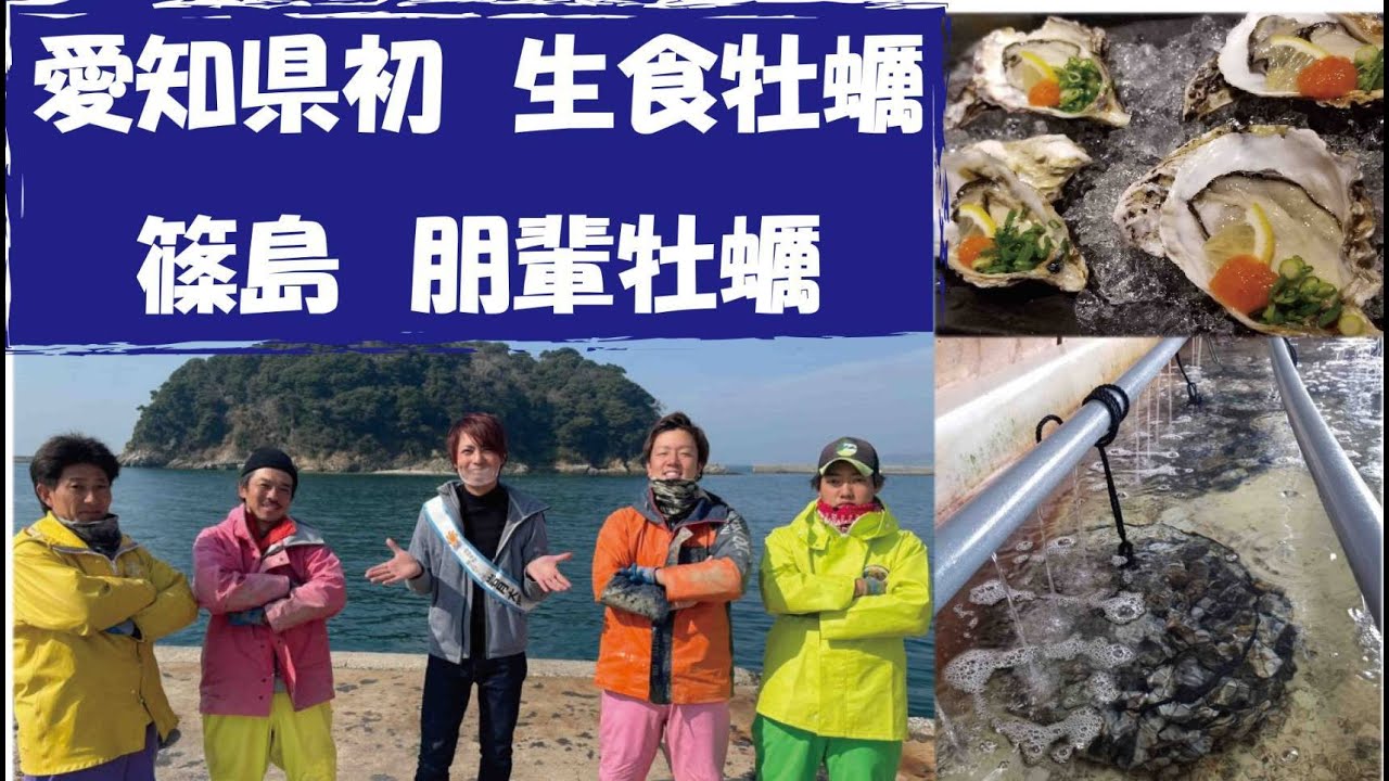篠島　愛知県初の生食牡蠣　朋輩牡蠣の生産に密着！？