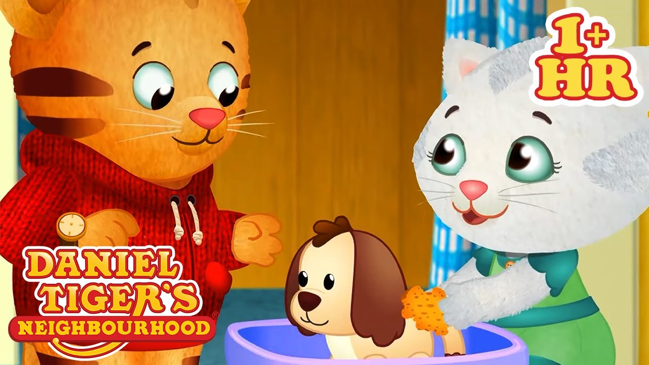 Daniel Takes Care of His Pet | Animals for Children | Daniel Tiger's Neighborhood | 9 Story Kids