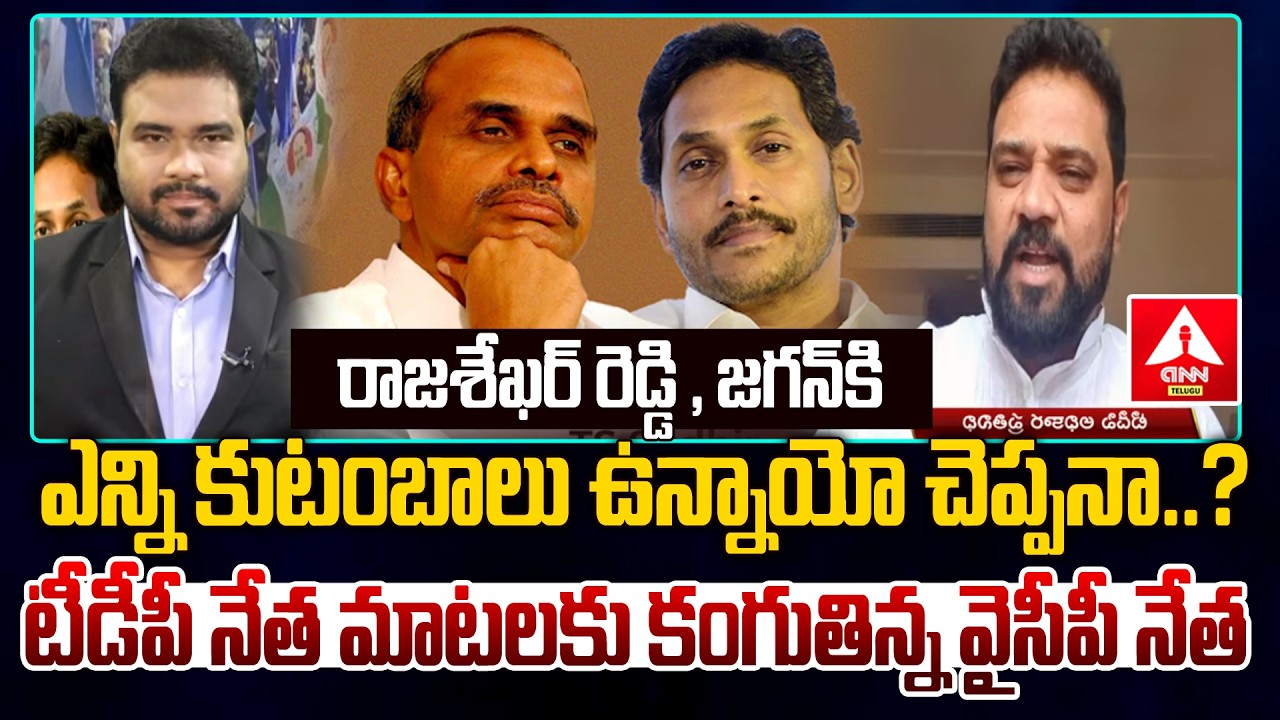 రాజశేఖర్ రెడ్డి & జగన్ కి ఎన్ని కుటంబాలు ఉన్నాయో చెప్పనా..? | TDP Leader Hot Comments On YSR Family