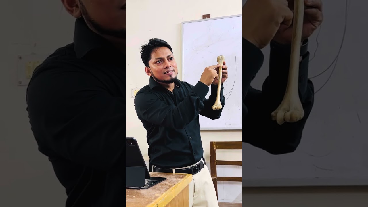 Humerus Short Demonstration Bangla Anatomy | Dr Miraz