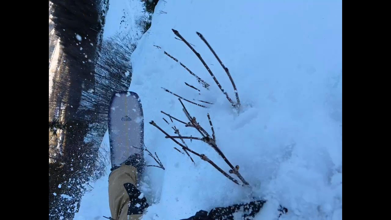 Fernie Snowboard - Curry Powder to fence - 1st run