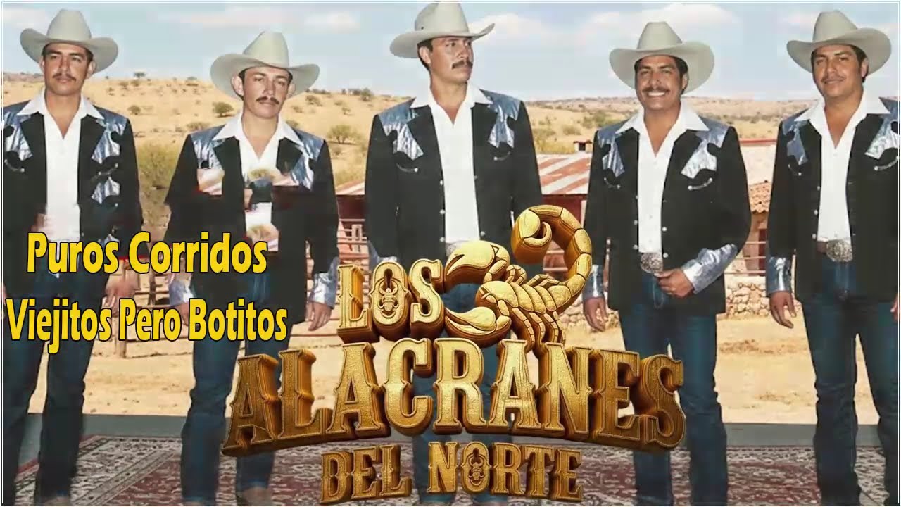 🔥 Los Alacranes del Norte – Puros Éxitos | Corridos Norteños Mix 🔥
