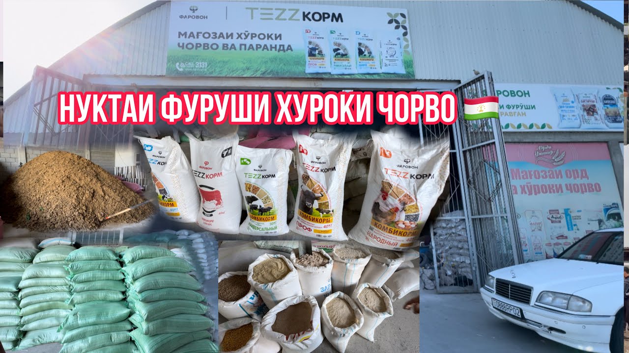 Хуроки чорво дар шахри Хучанд🇹🇯6 мая 2024 г.