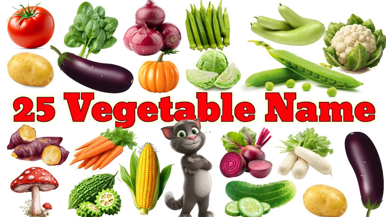 25 Vegetables Name in English and Hindi | सब्जियों के नाम | Kids Learning Video | Preschool Learning