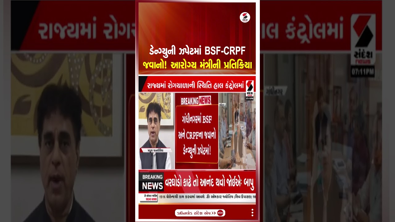 Gujarat Dengue | ડેન્ગ્યુની ઝપેટમાં BSF CRPF જવાનો! આરોગ્ય મંત્રીની પ્રતિક્રિયા | CRPF-BSF