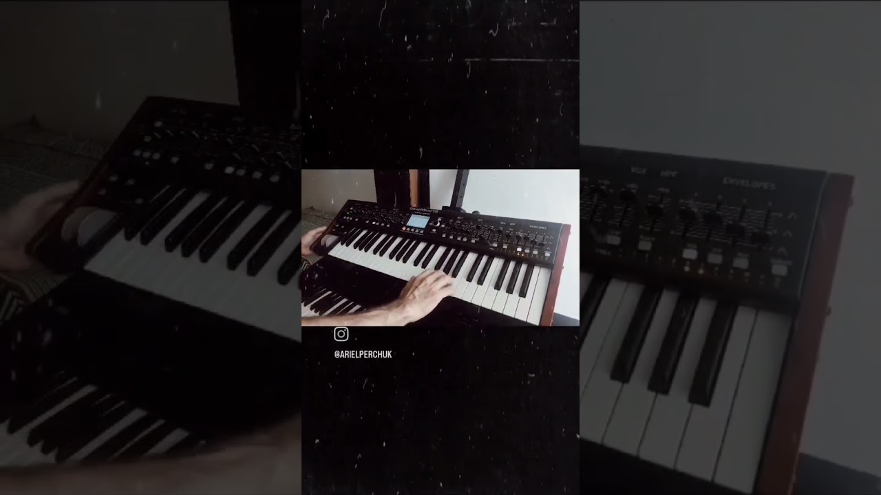 Behringer Deepmind 12 - Keyboard Solo🔥🎹#keyboardsolo #keyboardist #leadsynth #behringerdeepmind12
