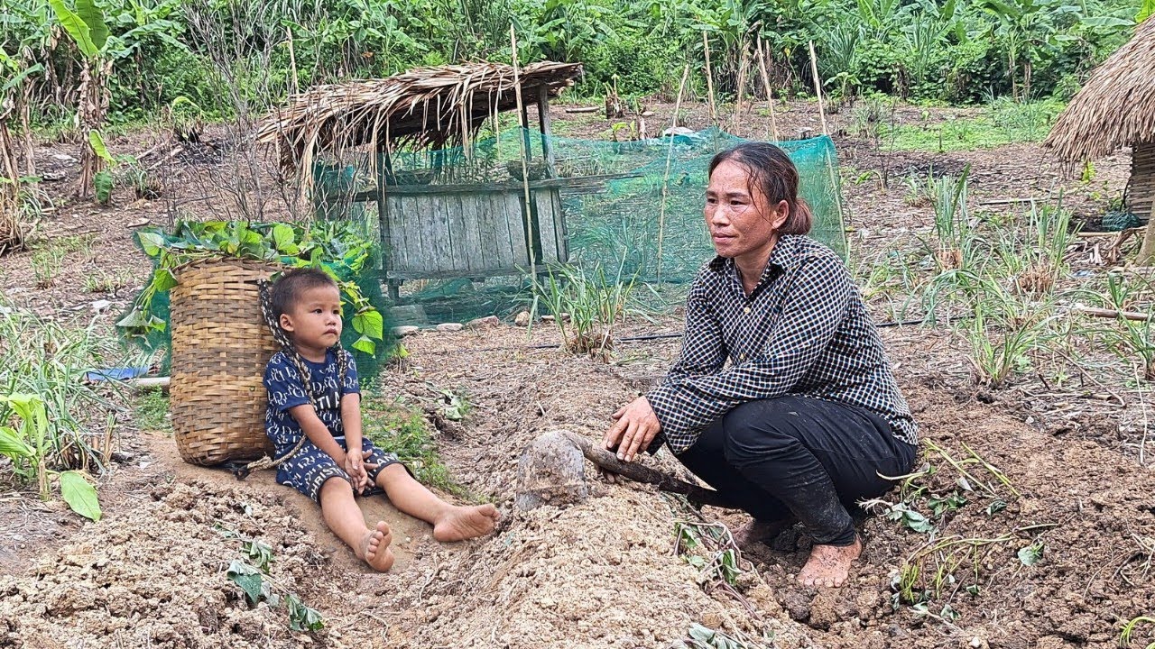 Single mother: Go to the village to ask for seeds and plant her own orchid garden - Duong Mi