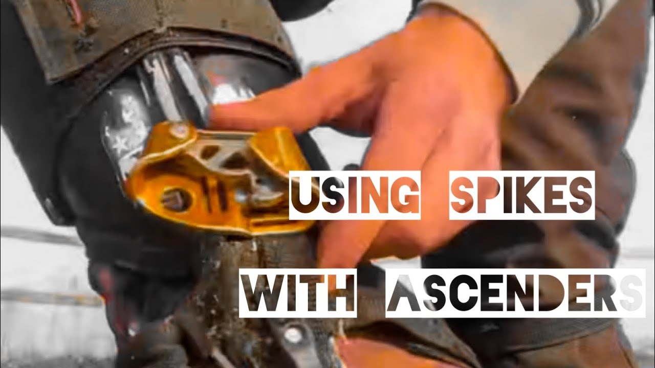 Using ascenders with climbing spikes