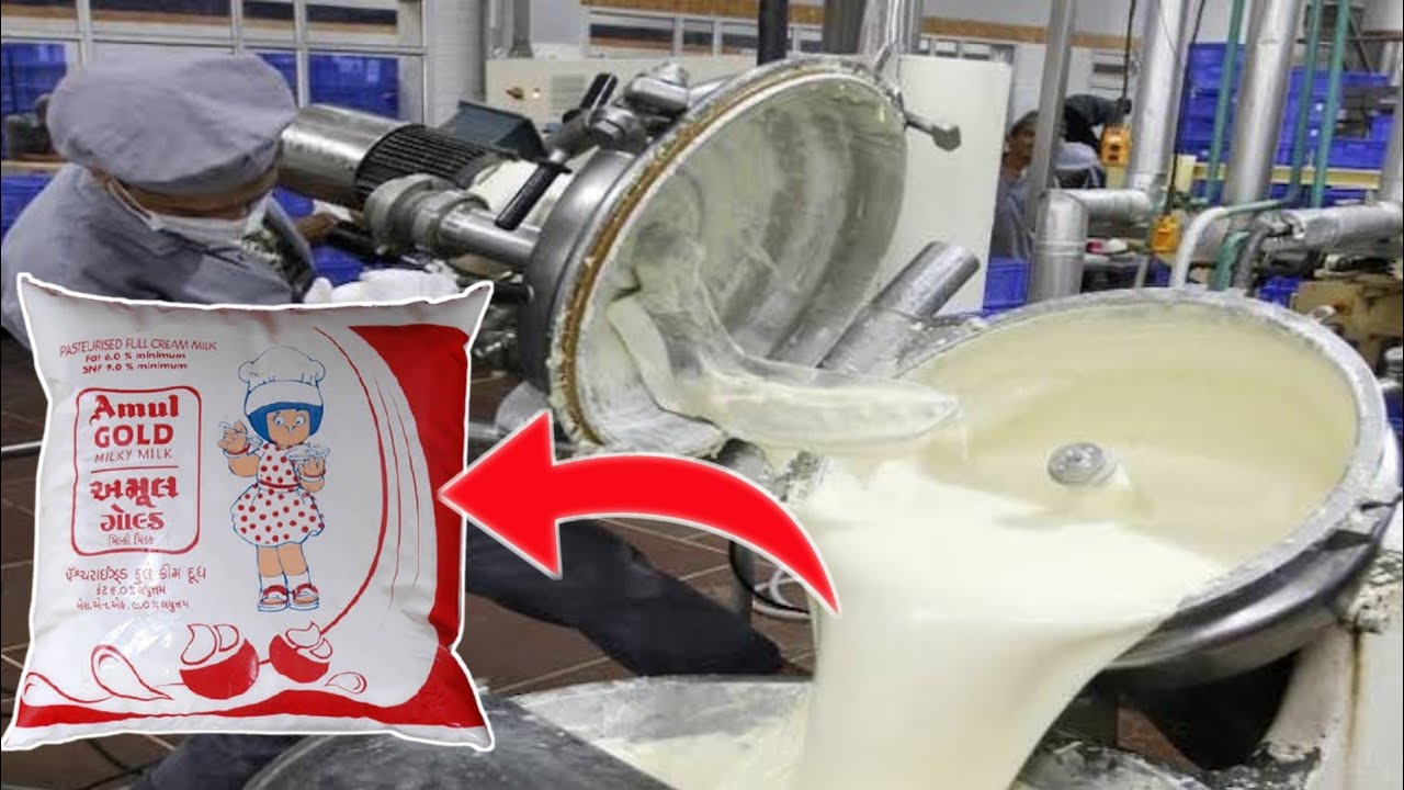 देखिये अमूल दूध फैक्ट्री में कैसे बनता है ?  how amul milk is made || amul milk factory