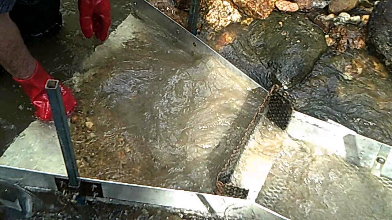 River sluicing in Reedy Creek Beechworth