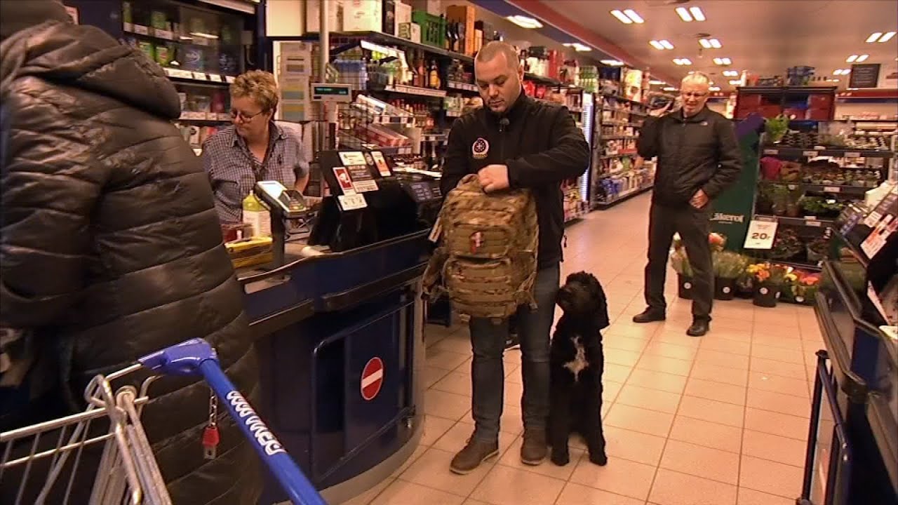 Hunden Teddy hjælper PTSD-ramte Jon i hverdagen
