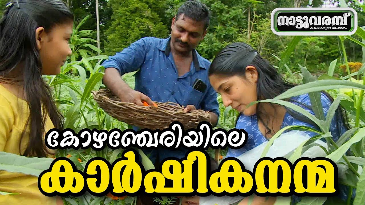 കോഴഞ്ചേരിയിലെ കാർഷിക നന്മ | NATTUVARAMBU EP 252 |  PART 01 | JANAM TV