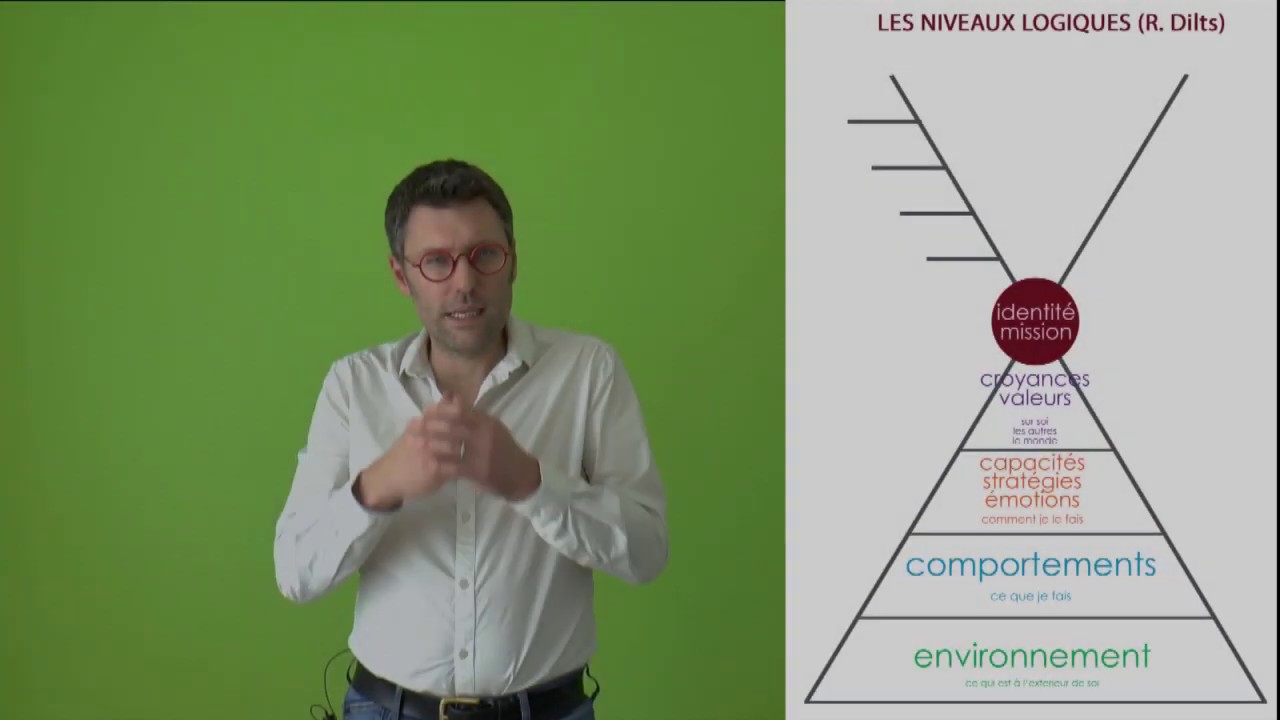 Les Niveaux Logiques : les 6 niveaux