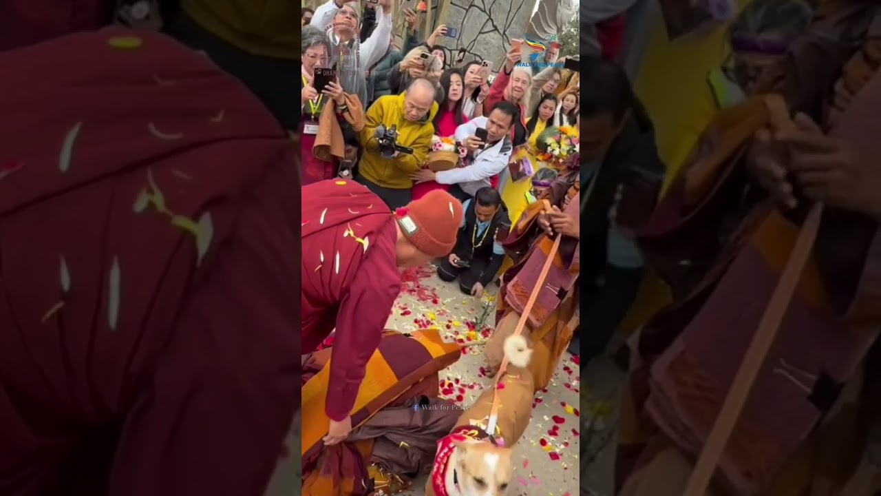 Welcome Home to Buddhist Monks After finished the Journey of  
