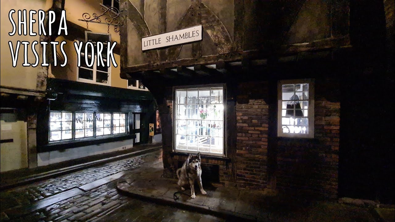 Sherpa visits the city of York