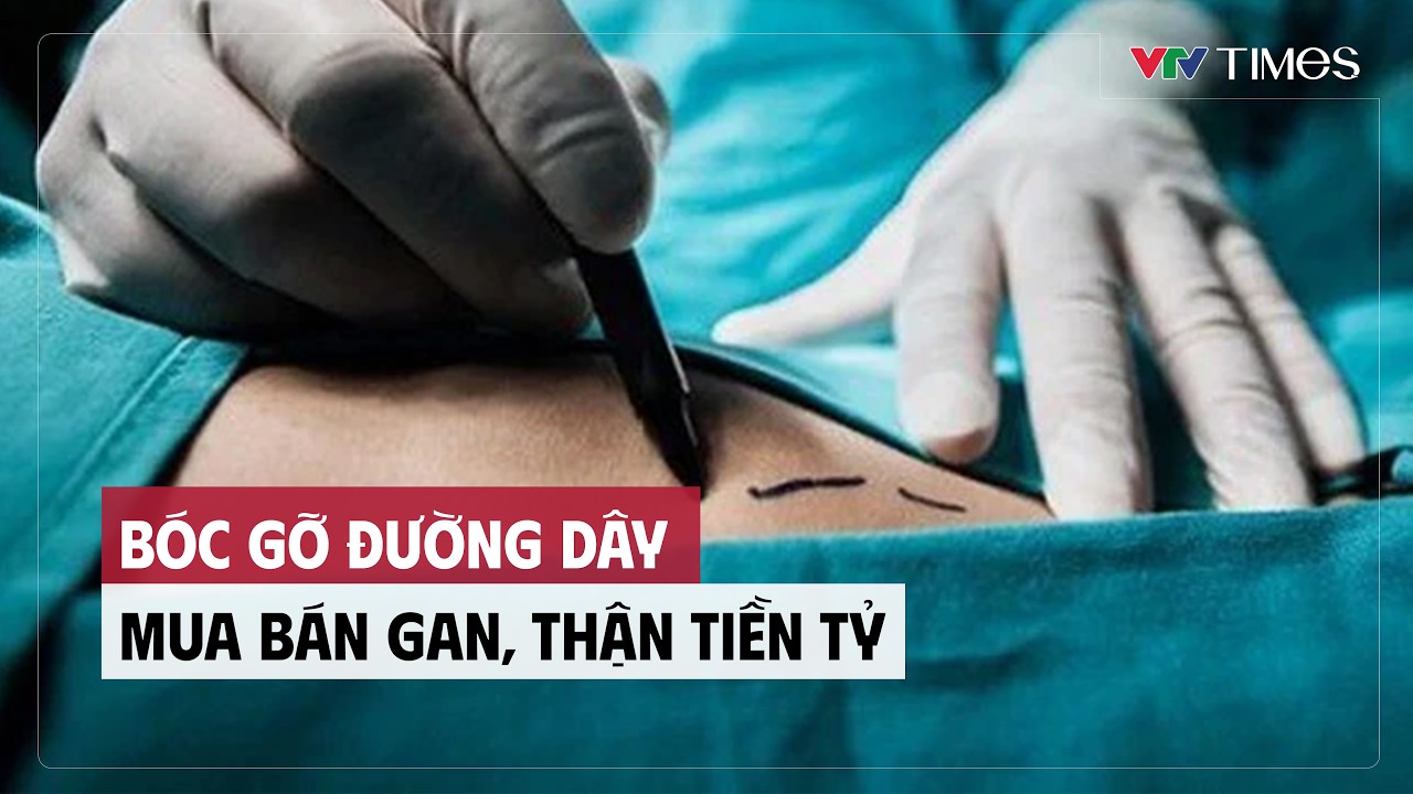 Bóc gỡ đường dây mua bán gan, thận tiền tỷ | Tin nóng 24h | VTV Times