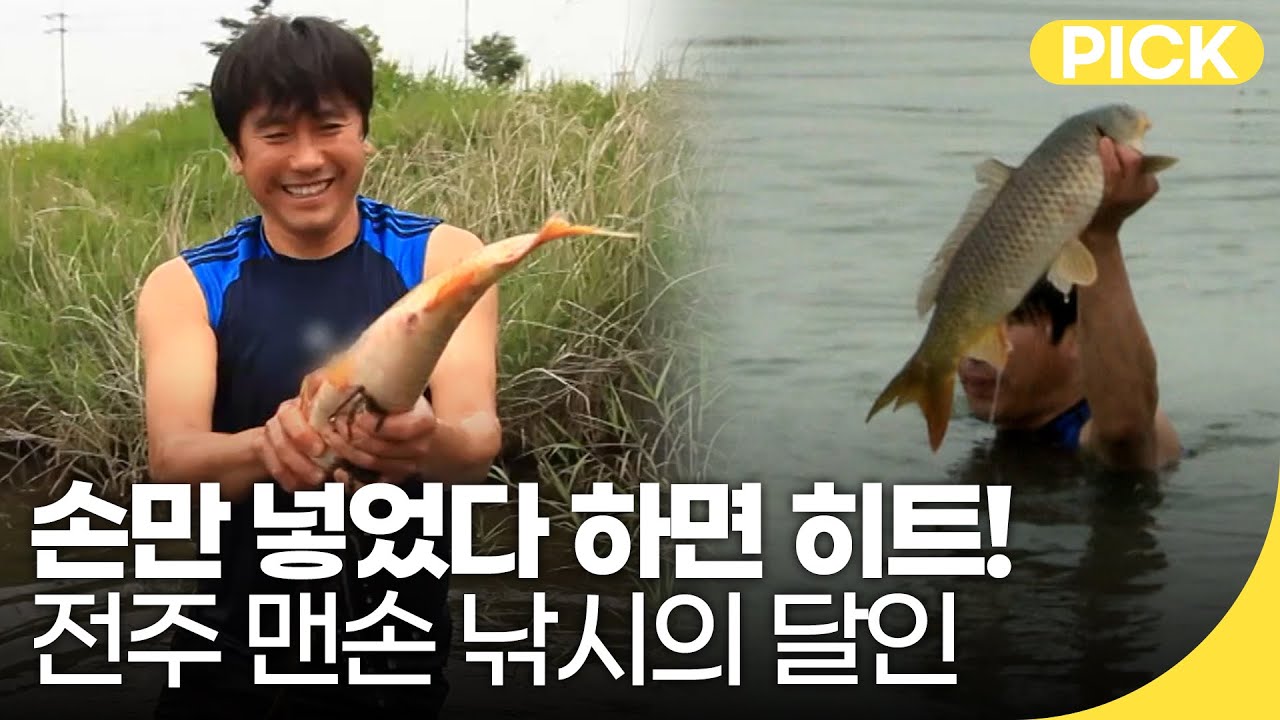 [내고향 스페셜] 별명은 어신! 전주 맨손 낚시의 달인 | 재미 PICK | 한국재발견 189회 2013.07.04(목)