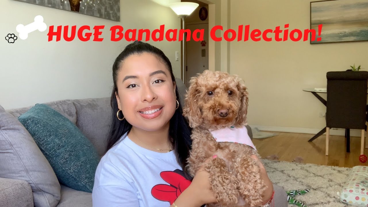 MY DOG'S BANDANA COLLECTION! **HUGE**