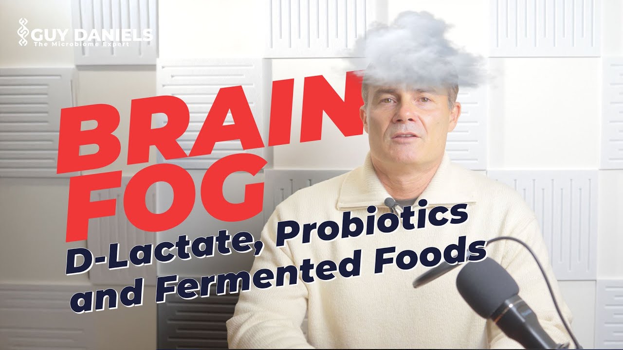 Brain Fog, D-Lactate, Probiotics and Fermented Foods