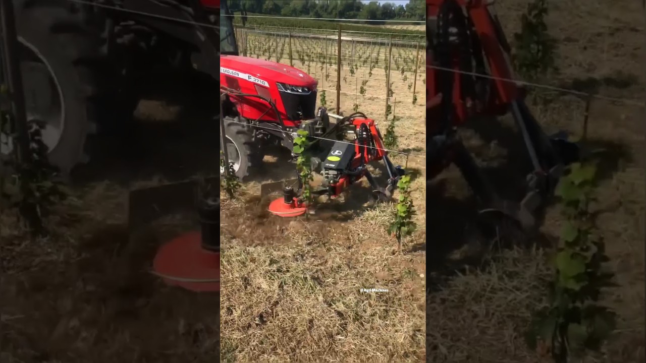 Inter-Row Rotary Cultivator IT 15 For Orchards & Vineyards || #weeding #cultivator #shorts