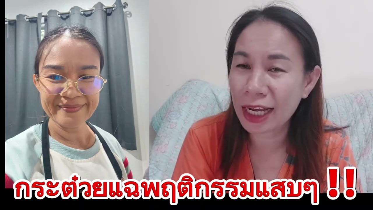 กระต่ายจัดพฤติกรรมสำลี