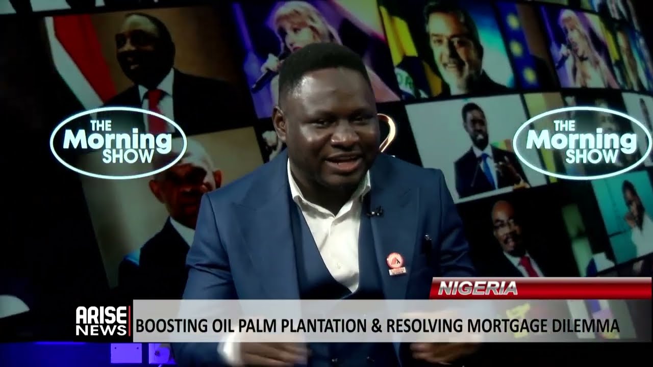 Nigeria: Boosting Oil Palm Plantation & Resolving Mortgage Delimma - Ojamamoye | Ogwu