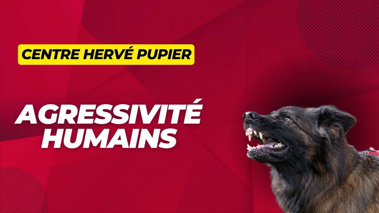 Centre Hervé Pupier - Formation Educateur canin
