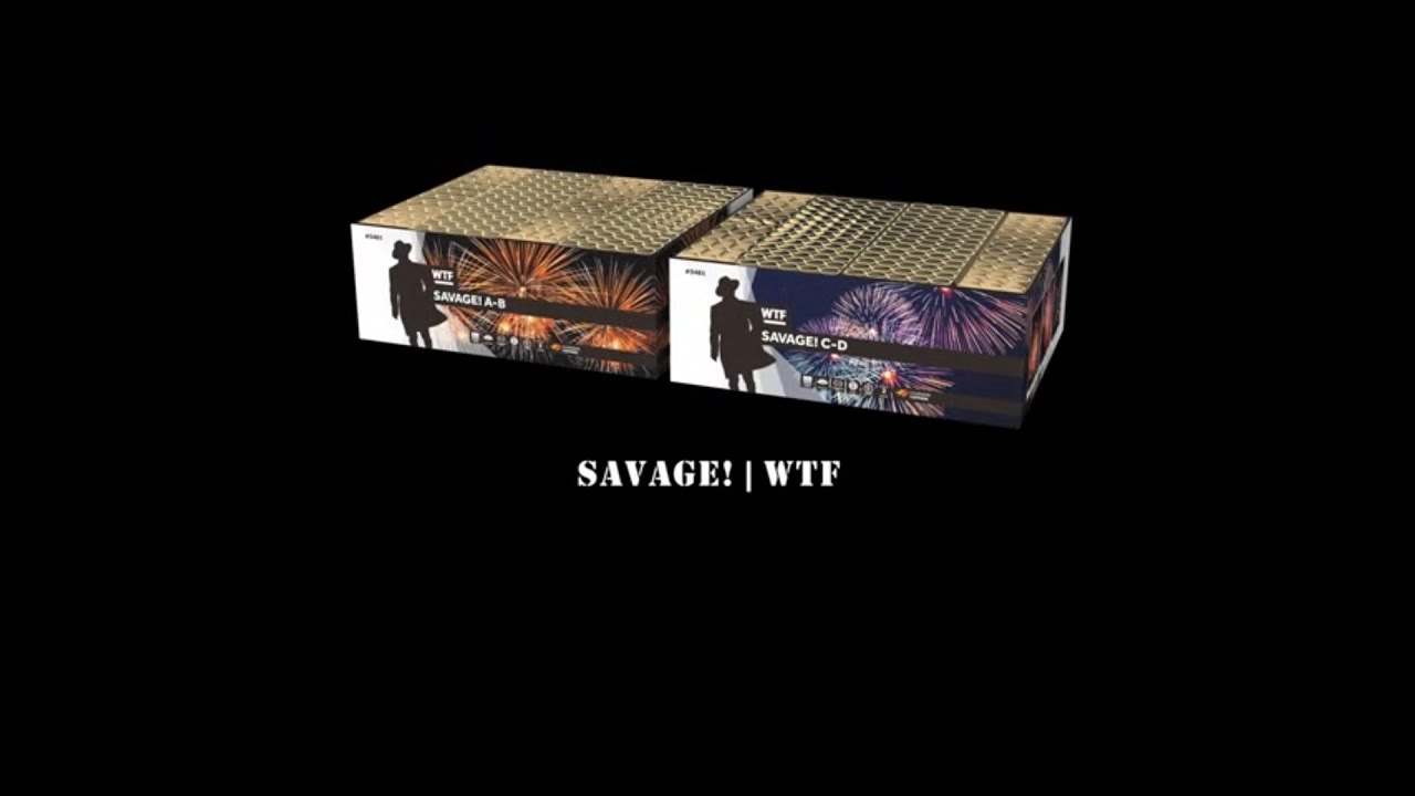 Savage! | WTF | World's Toughest Firework | Vuurwerkdemo | 2024