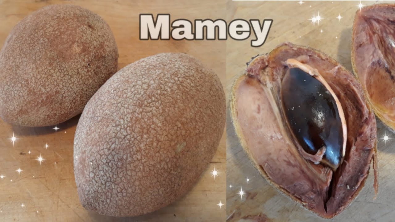 Como Cortar Un Mamey y que este bueno @Lachatayou