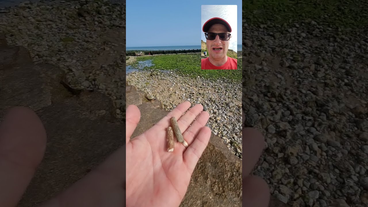 Mammoth 🦣 Hunting at West Runton, Norfolk.🌏🦖🦕🦀🦑
