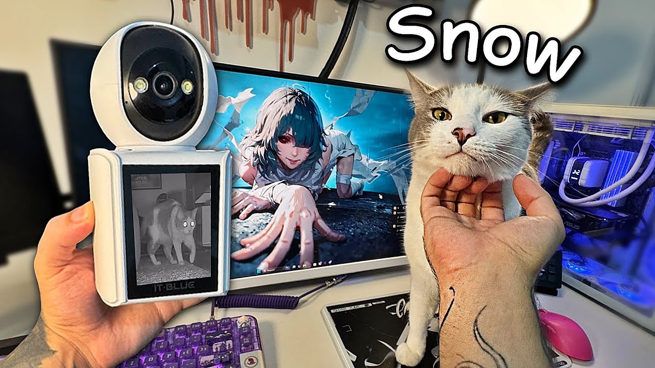 COMPREI uma C&Acirc;MERA para VIGIAR meus GATOS KKKk