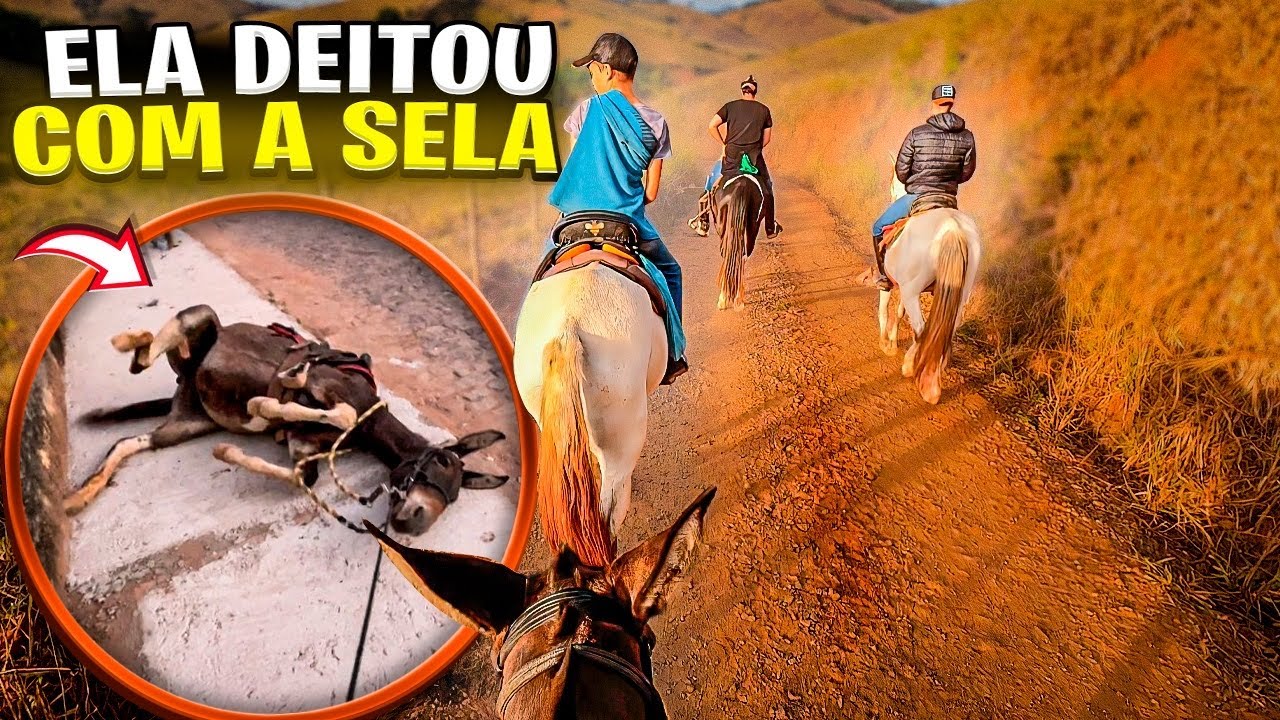 ESSA MULA DEU TRABALHO NA CAVALGADA😱