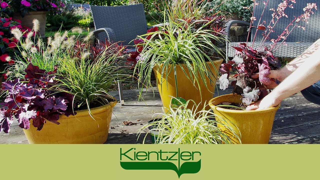 Herbstzauber-Gräser pflanzen - Trends auf Balkon & Terrasse