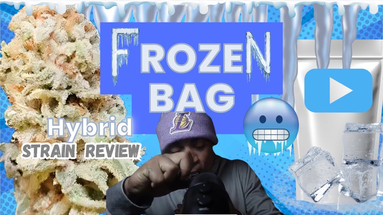 Unveiling Frozen Bag: The Ultimate Premium Indoor Strain With Mind Blowing 32%THC!