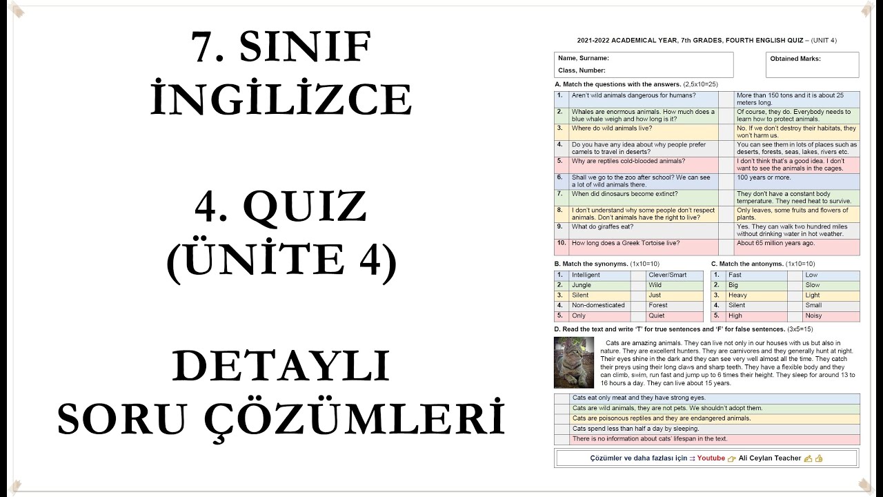 İngilizce, 7. Sınıf, 4. Quiz ve Detaylı Çözümleri (Ünite 4) #Lgs #İngilizce