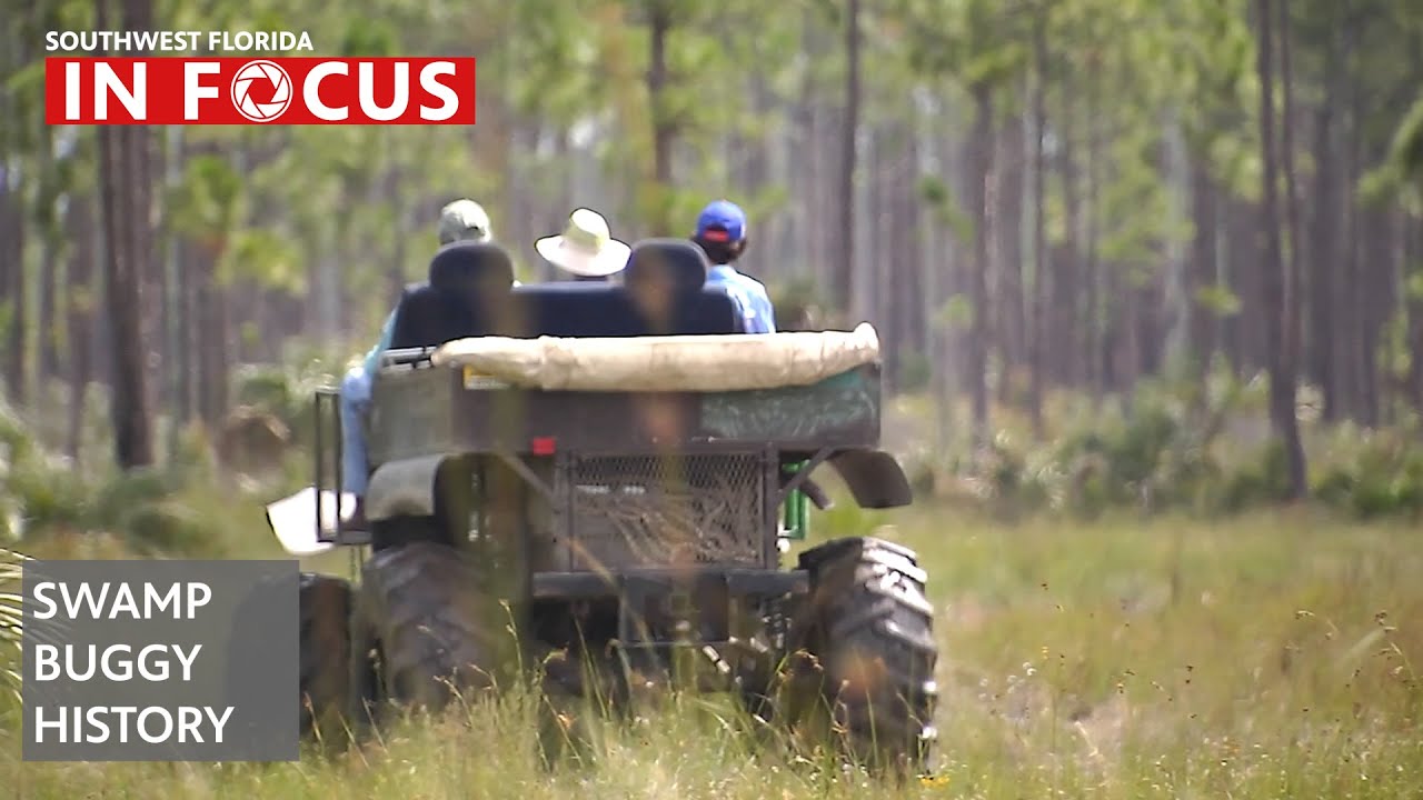 Радость болотных вездеходов для разных поколений | Новости WGCU