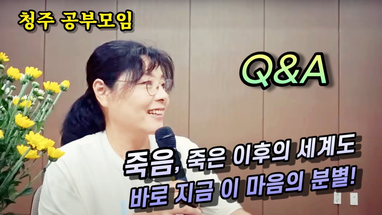 2023년 9월 10일 질의응답(청주)-죽음, 죽은 이후의 세계도 바로 지금 이 마음의 분별!