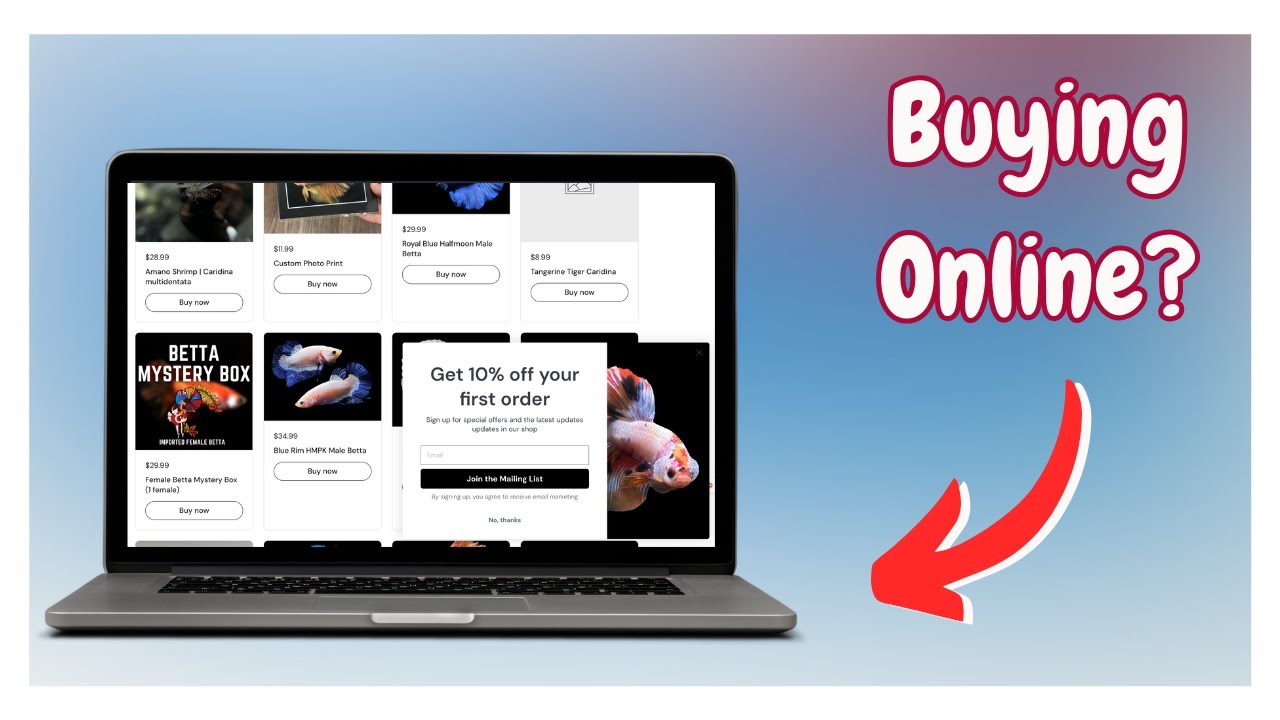 Watch Before Buying Bettas Online!