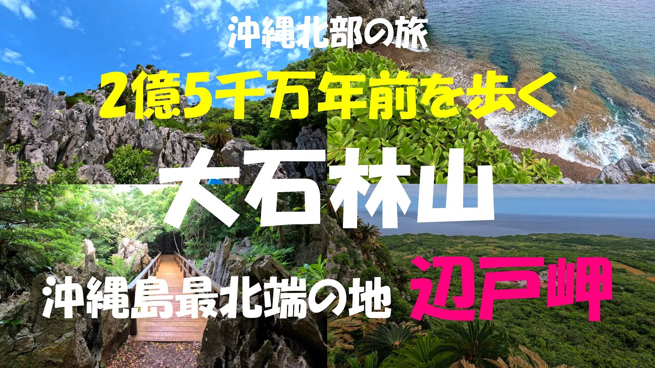 沖縄北部でオススメの観光スポット【大石林山】の魅力を紹介します | 沖縄本島最北端の地【辺戸岬】| 沖縄観光 | 沖縄の絶景スポット