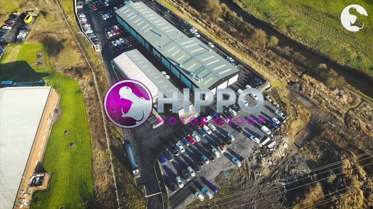 Hippo Motor Group | Preparation of Used Cars