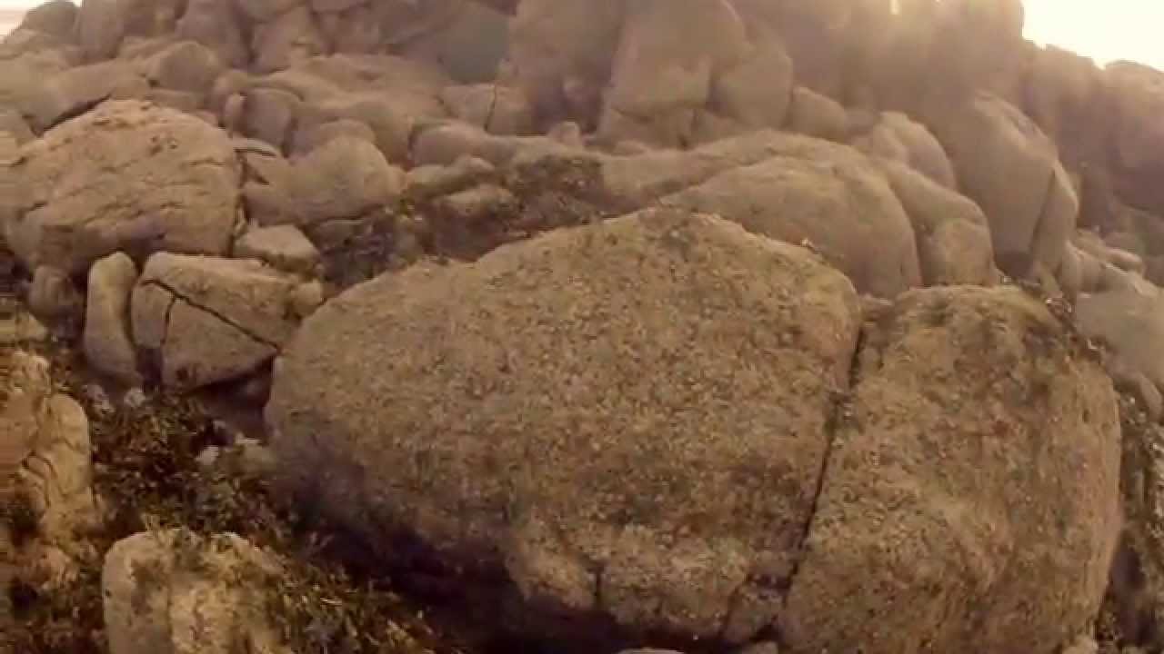Niedzielne kuśtykanie, Cramond Island, fale i kamienie