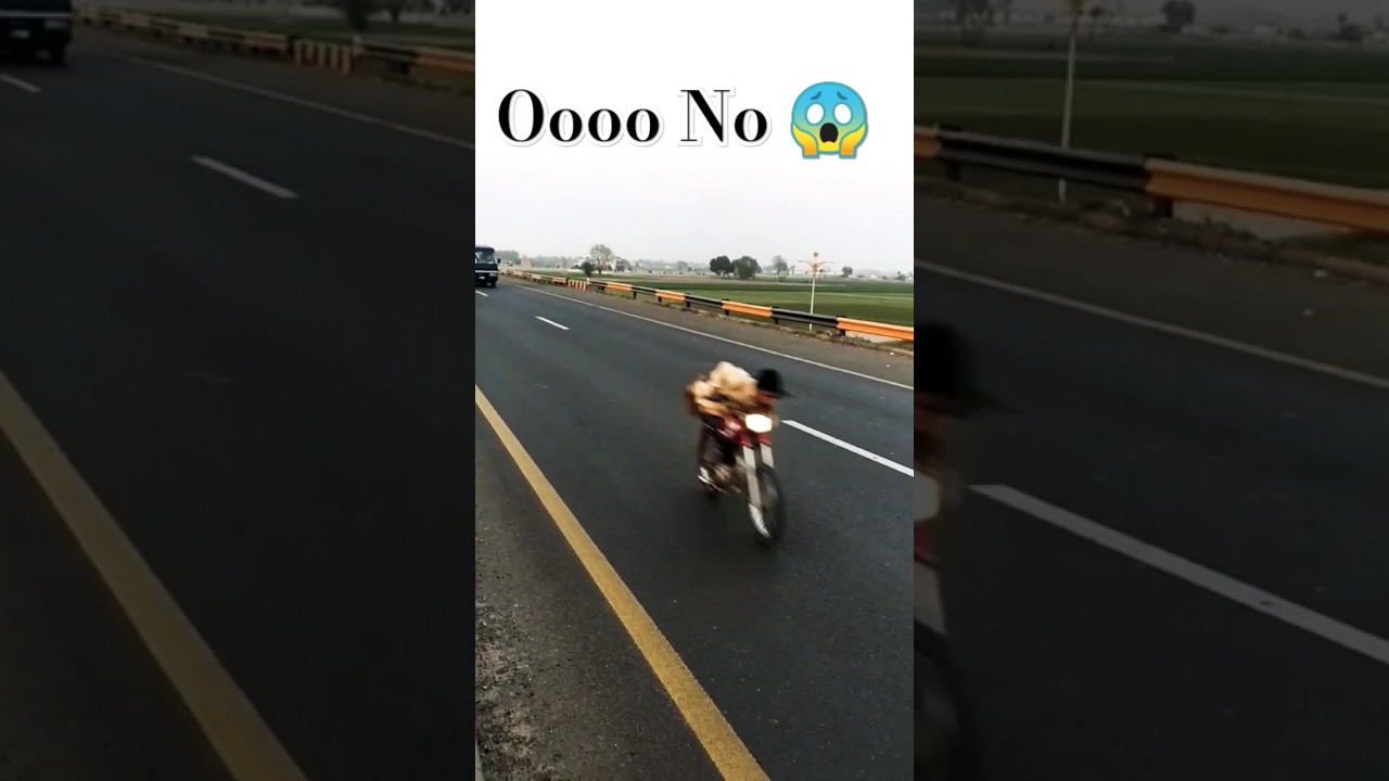 unique 70 vs honda 70 😱 #alternative #race