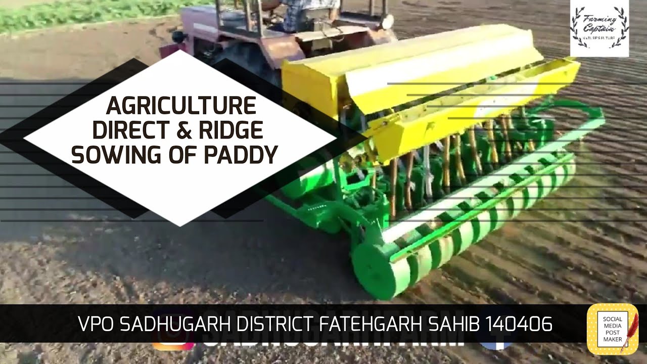 DSR ਝੋਨੇ ਦਾ Review JDA Baldev Singh Khetibadi Officer | Kissan