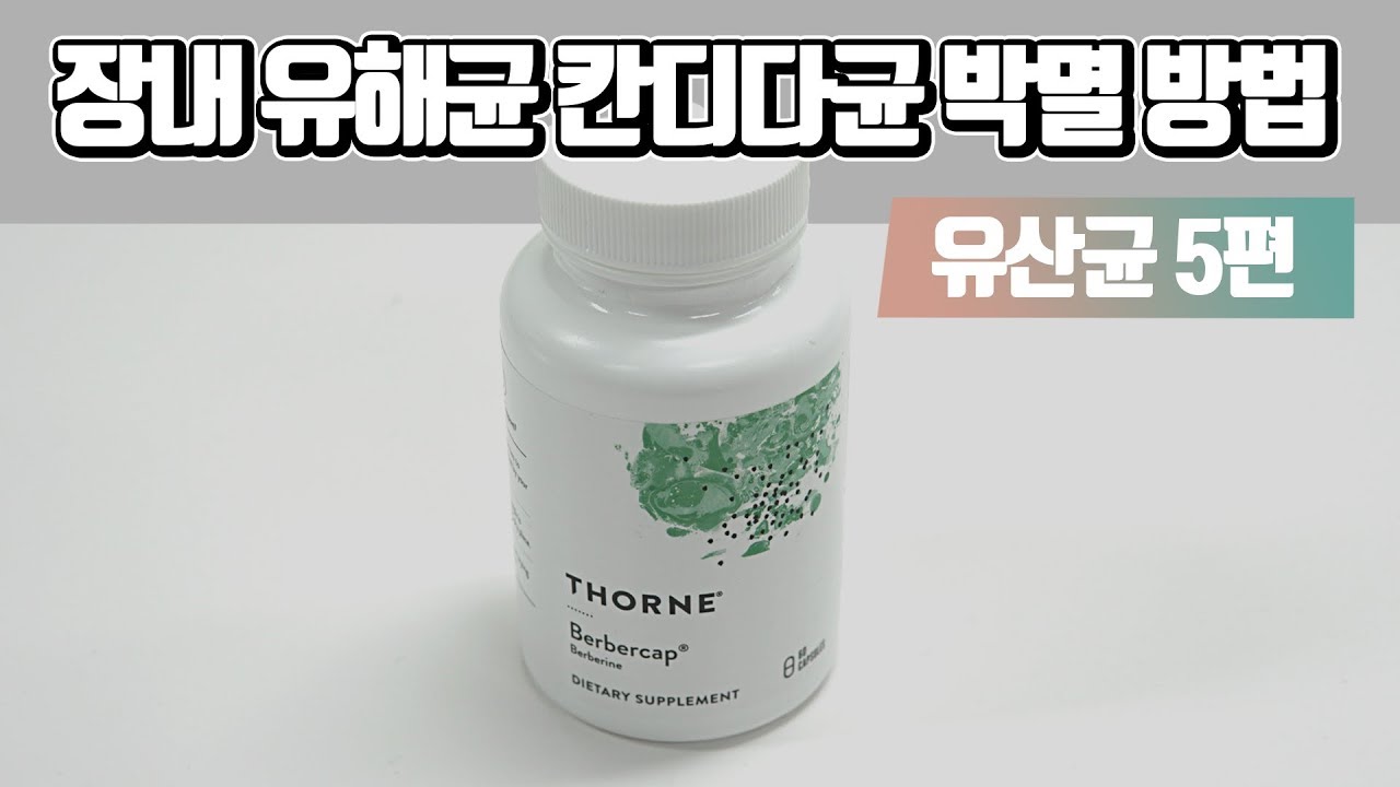 유산균이 효과없었던 분 필수시청! 장내 유해균과 칸디다 박멸하는 방법