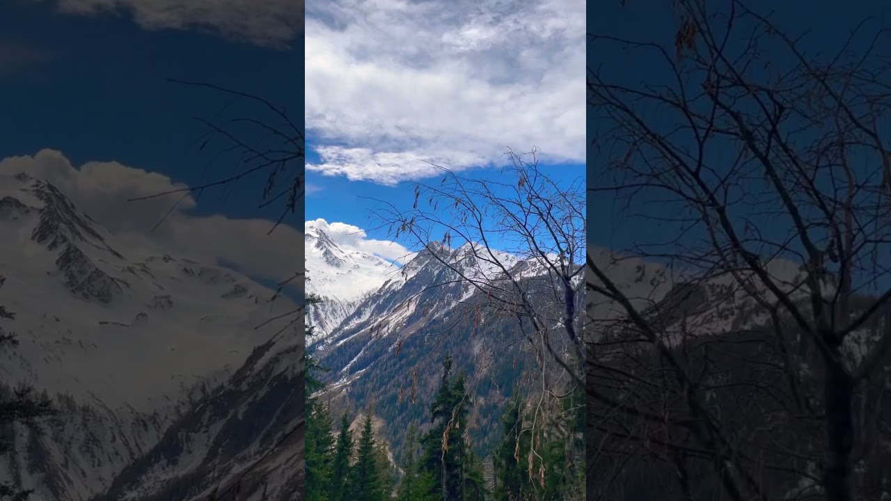 🇨🇭😍🪵 #valais #swiss #brasileirospelaeuropa #mountain #freedom #trilhasradicais