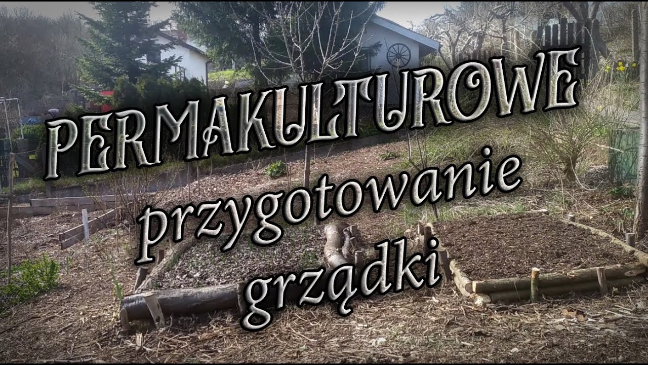 Przygotowanie grządki w stylu permakulturowym.