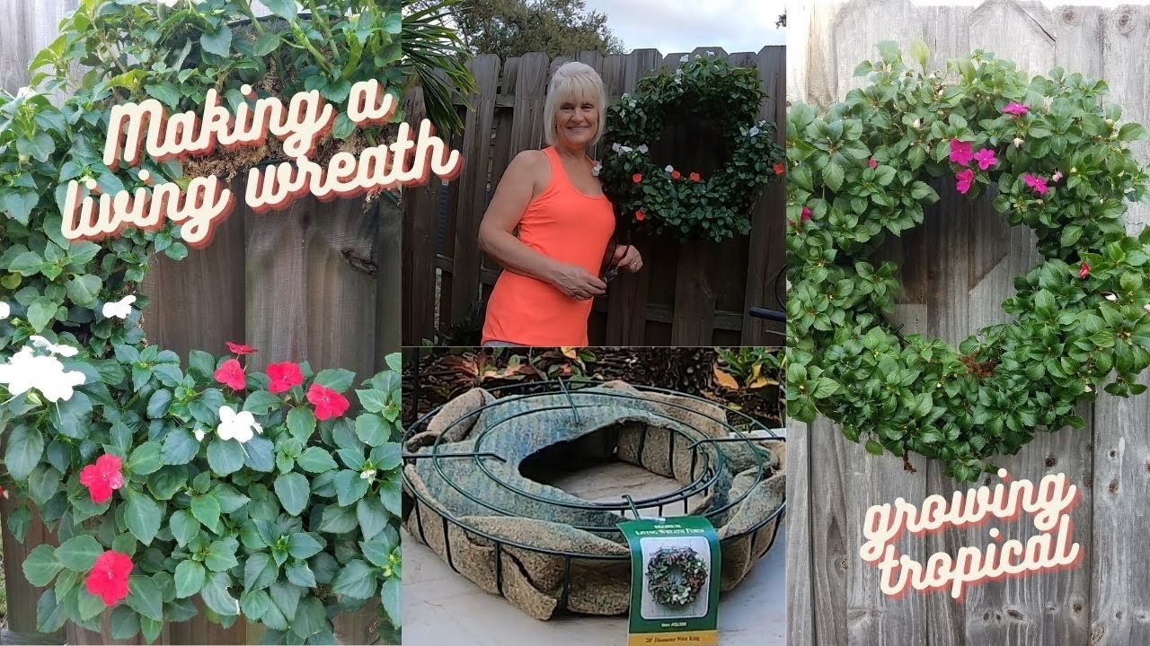 How to Make a Living Wreath // Impatiens // Growing Tropical