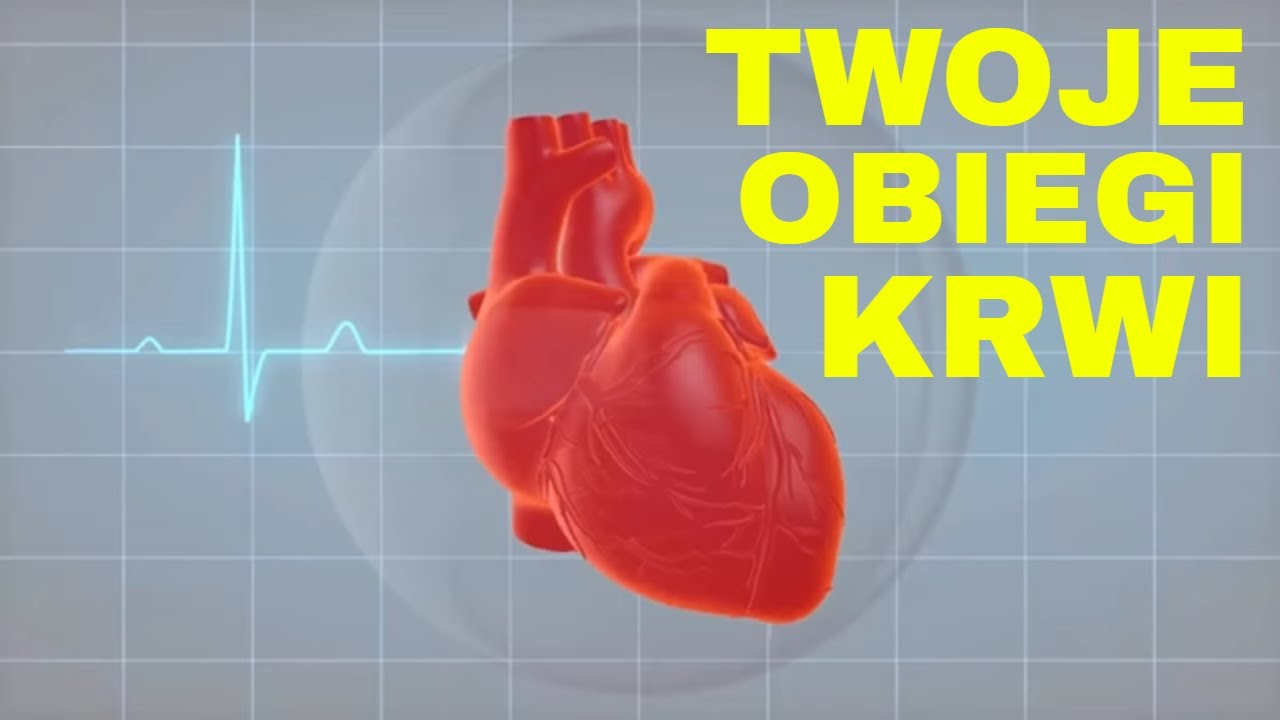 Układ krwionośny Krążenie krwi Duży i mały obieg, żyły, tętnice i dużo więcej! Obiegi krwi ❣
