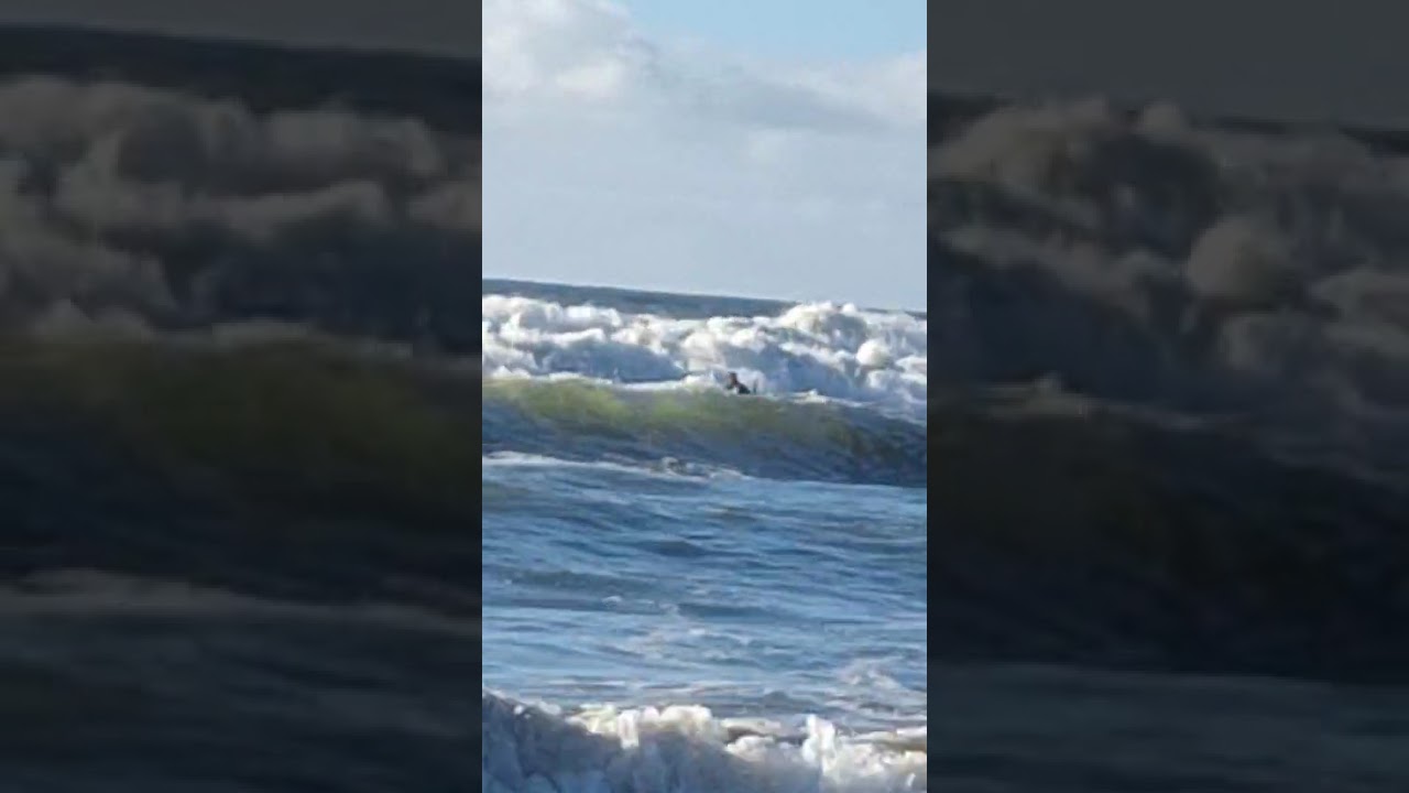 Al agua, pescadores de Ostende!!!